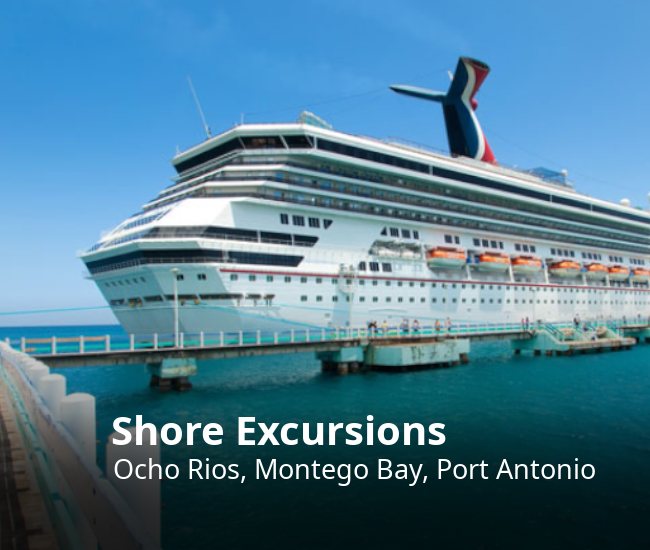 Cruise Ship to Shore Excursions